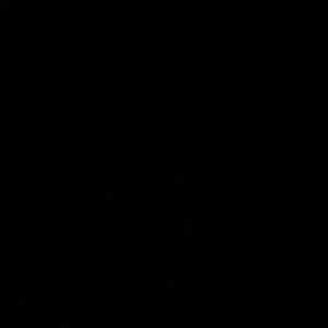 Meet your Posher, Pat